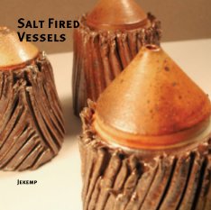 Salt Fired Vessels book cover