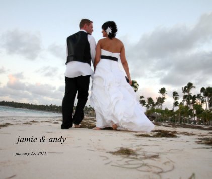 jamie & andy book cover