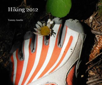 Hiking 2012 book cover