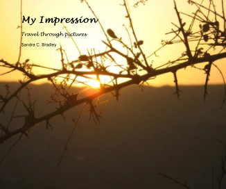 My Impression book cover