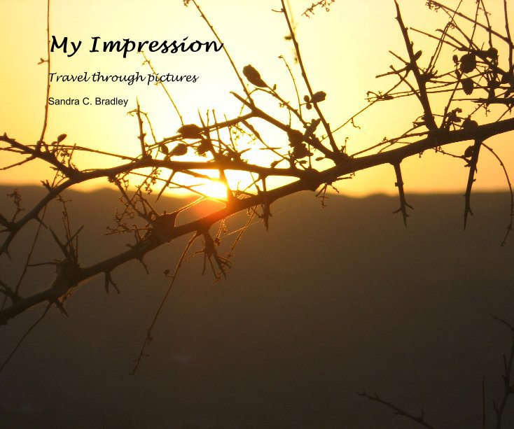 View My Impression by Sandra C. Bradley