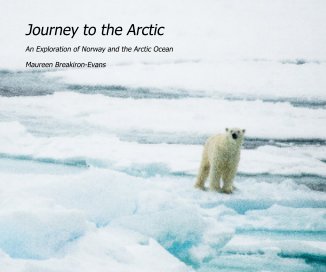 Journey to the Arctic book cover