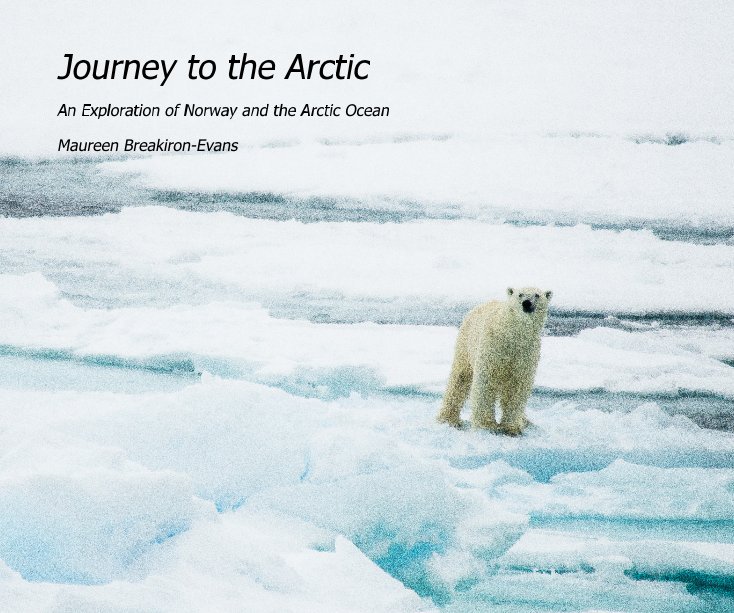 View Journey to the Arctic by Maureen Breakiron-Evans