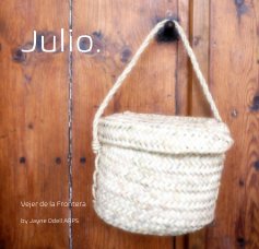 Julio. book cover