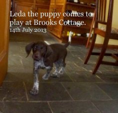 Leda the puppy comes to play at Brooks Cottage. 14th July 2013 book cover