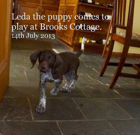 View Leda the puppy comes to play at Brooks Cottage. 14th July 2013 by kbraith