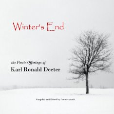 Winter's End book cover