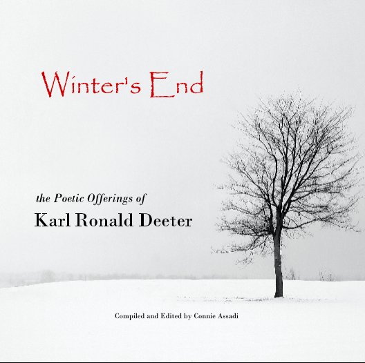 View Winter's End by Connie Assadi, Editor