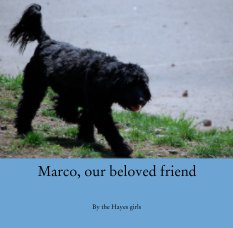 Marco, our beloved friend book cover