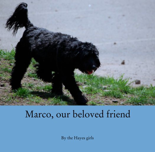 Marco, our beloved friend nach the Hayes girls anzeigen