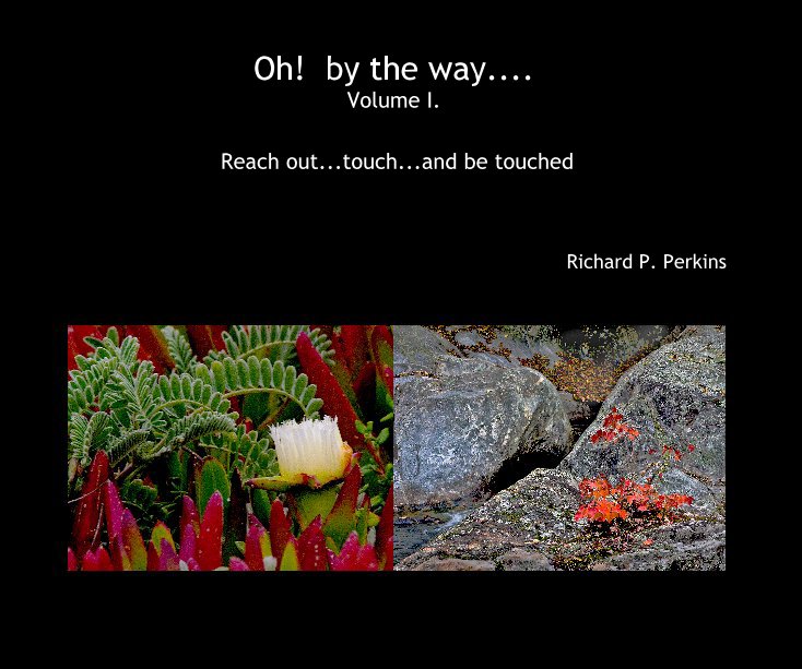 Bekijk Oh! by the way.... Volume I. op Richard P. Perkins