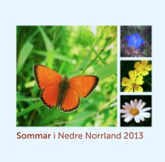 Sommar i Nedre Norrland 2013 book cover