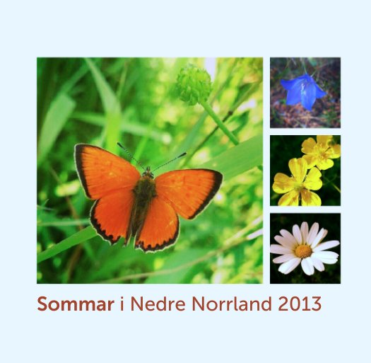 Ver Sommar i Nedre Norrland 2013 por Marie Nygren