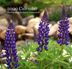 2009 Calendar Photography By Cassy Greenawalt book cover