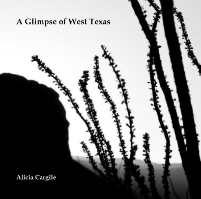A Glimpse of West Texas book cover