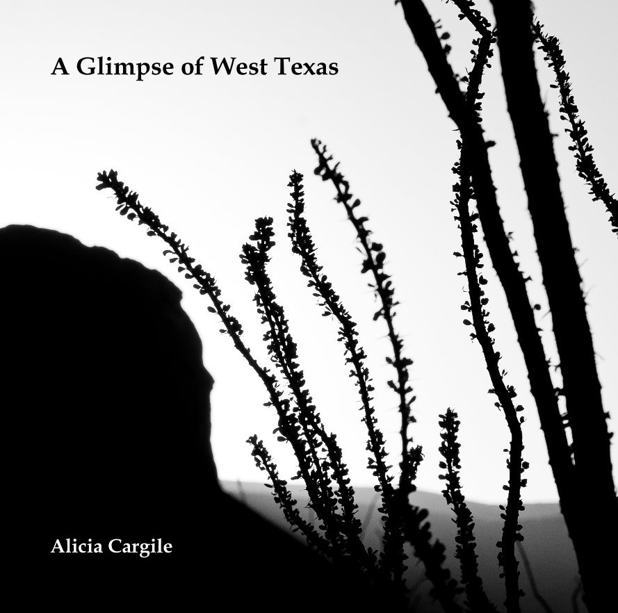 View A Glimpse of West Texas by Alicia Cargile