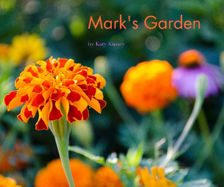 Visualizza Mark's Garden di Katy Kinsey
