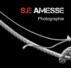 S.E Amesse book cover
