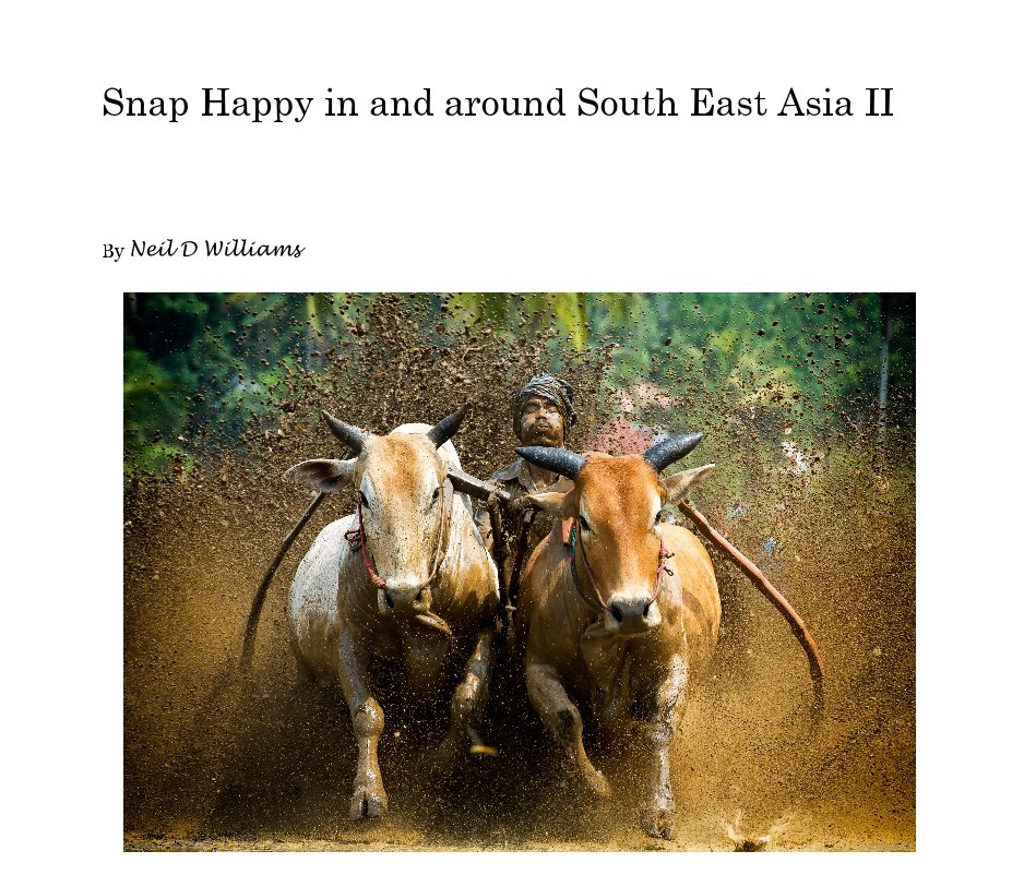 View Snap Happy in and around South East Asia II by Neil D Williams