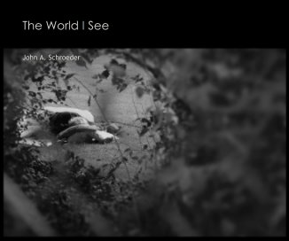 The World I See book cover