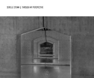 SERELLE STEMM | THROUGH MY PERSPECTIVE book cover