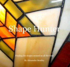 Shape Hunter book cover