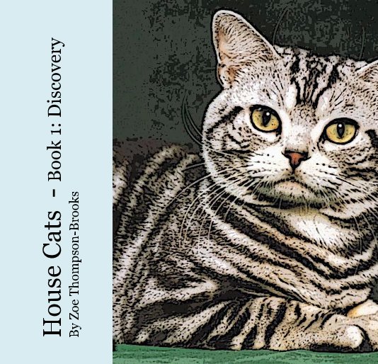 Visualizza House Cats - Book 1: Discovery By Zoe Thompson-Brooks di Zoe Thompson-Brooks