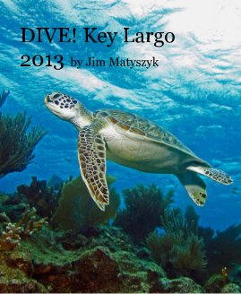 DIVE! Key Largo 2013 by Jim Matyszyk book cover