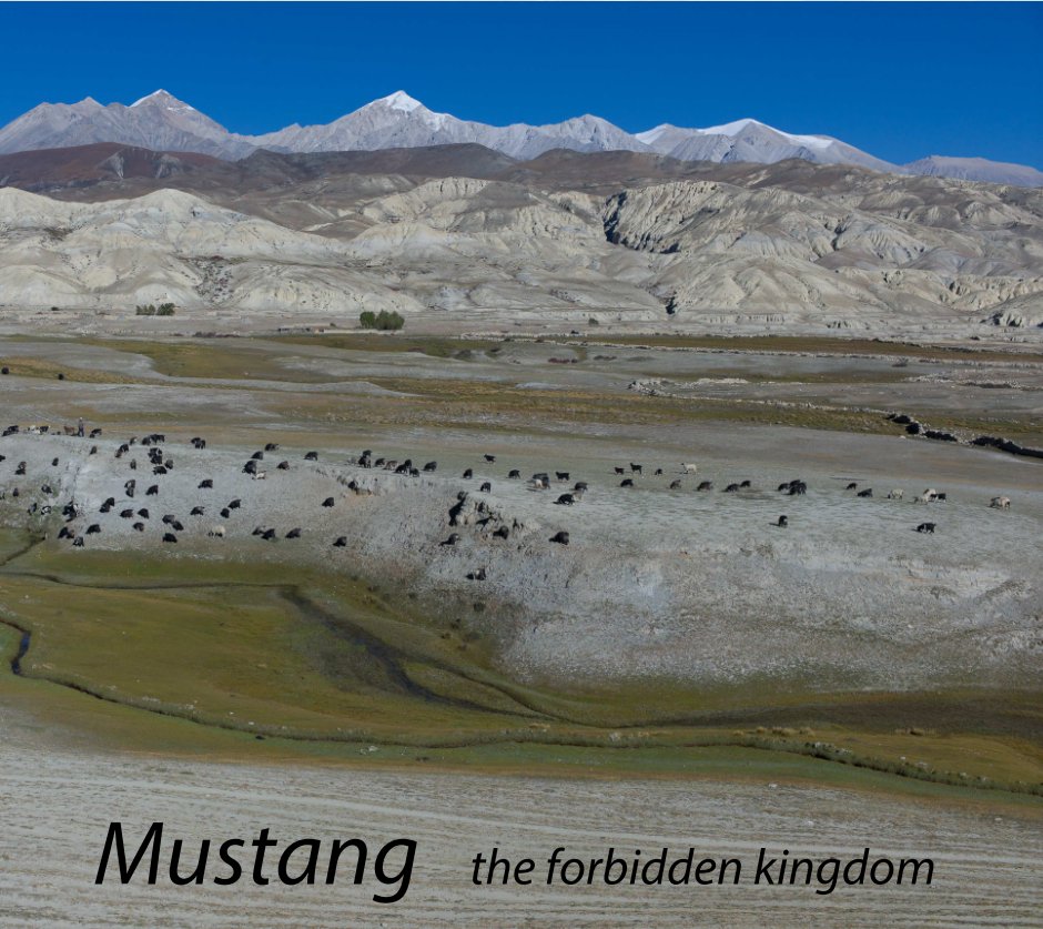 View Mustang by Enrico Bellesia