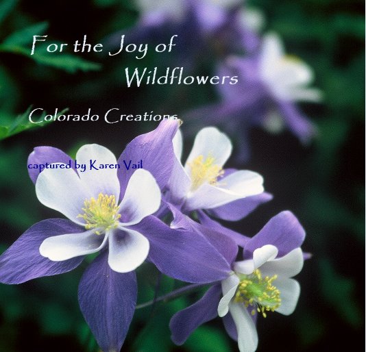 View For the Joy of Wildflowers by captured by Karen Vail