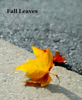 Fall Leaves book cover