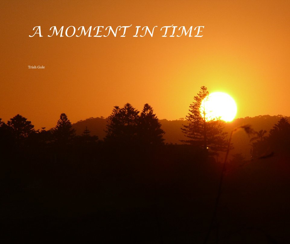 View A MOMENT IN TIME by Trish Gole