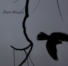 Para Sheyla book cover