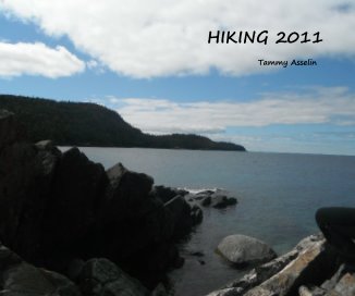 HIKING 2011 book cover