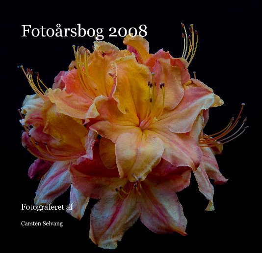 View Photo Yearbook 2008 by Carsten Selvang