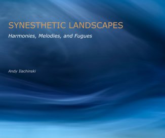 SYNESTHETIC LANDSCAPES book cover