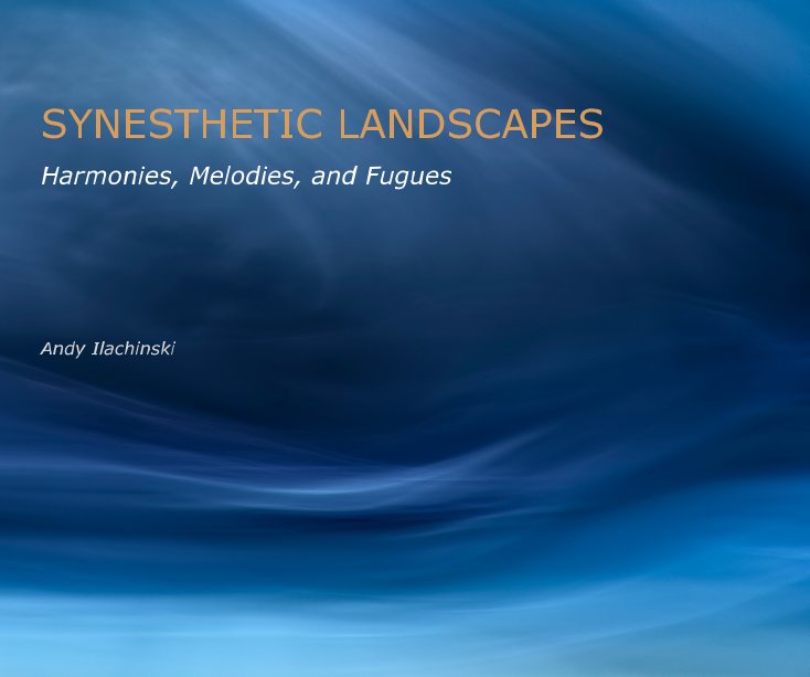 View SYNESTHETIC LANDSCAPES by Andy Ilachinski