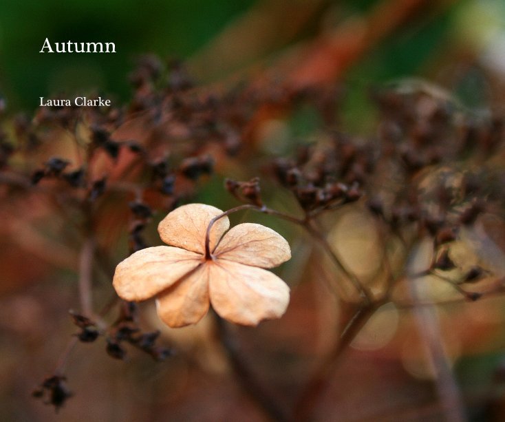 View Autumn by Laura Clarke