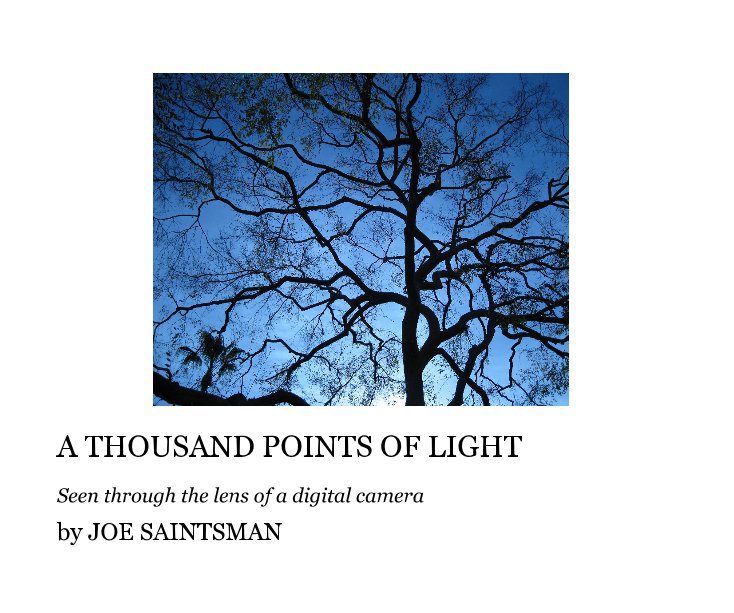 Bekijk A THOUSAND POINTS OF LIGHT op JOE SAINTSMAN