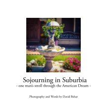 Sojourning in Suburbia book cover