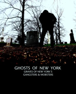 GHOSTS  OF  NEW  YORK book cover