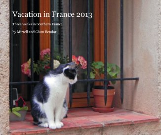 Vacation in France 2013 book cover