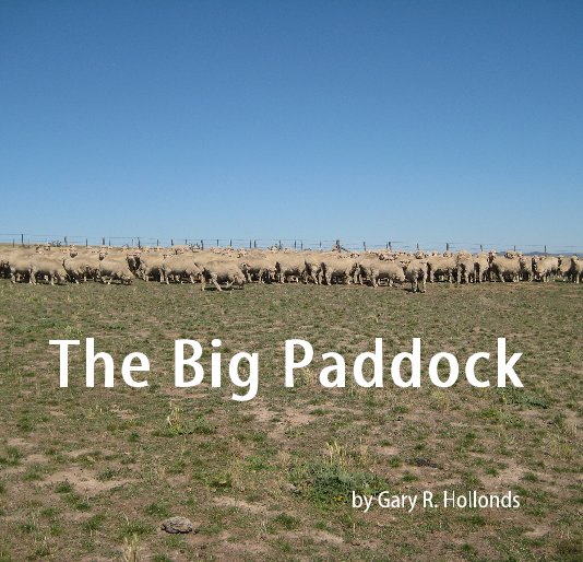 View The Big Paddock by Gary R. Hollonds
