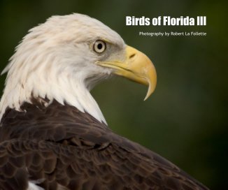 Birds of Florida III book cover