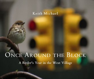 Once Around the Block book cover