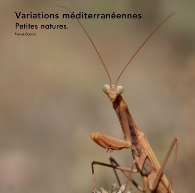Variations méditerranéennes Petites natures. book cover