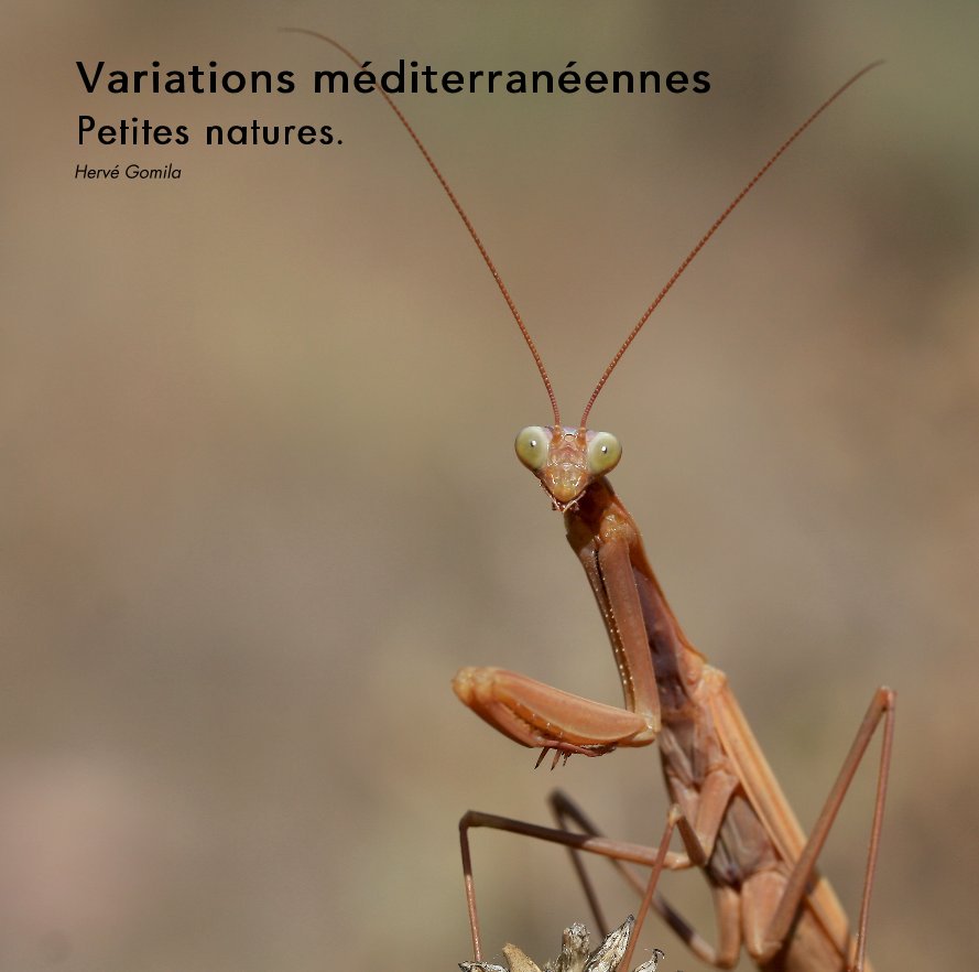Visualizza Variations méditerranéennes Petites natures. di Hervé Gomila