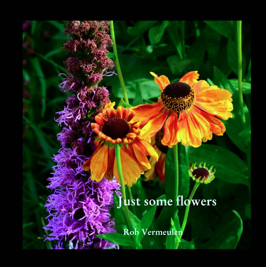 Ver Just some flowers por Rob Vermeulen
