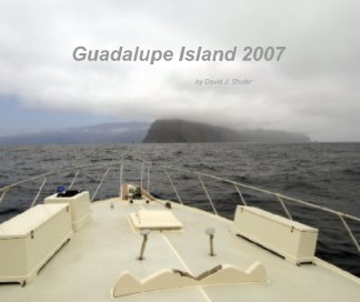 Guadalupe Island book cover