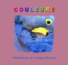 Couleurs book cover